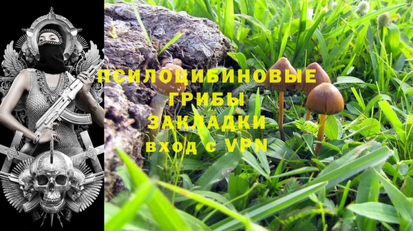 индика Алексеевка