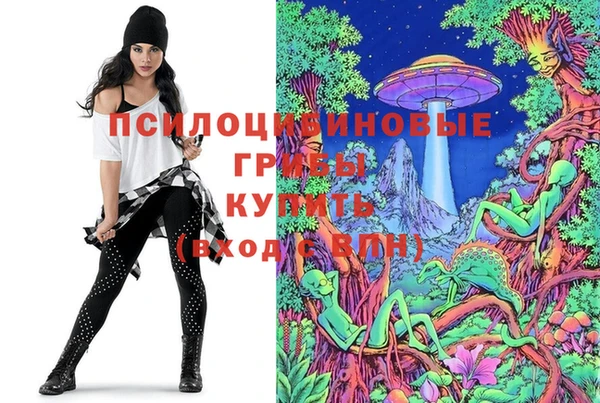молекула духа Волгодонск