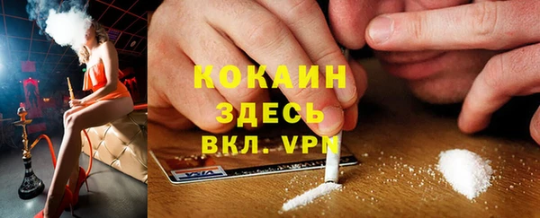 индика Алексеевка